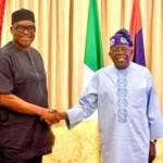 TINUBU APPOINTS FAYOSE REA CHAIRMAN