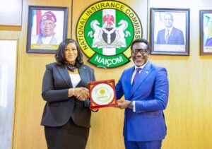 NIA, NAICOM DISCUSS INSURANCE INDUSTRY REFORMS, RISK-BASED CAPITAL